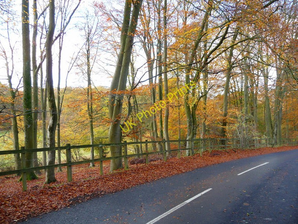 Photo 6"x4" Andover Down - The Middle Way Andover Down c2010