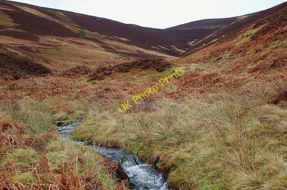 Photo 6"x4" West Grain Walkerburn c2011