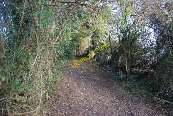 Photo 6"x4" North Downs Way Lenham Forstal c2010