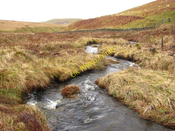 Photo 6"x4" Flemington Burn Damside\/NT1648 c2011
