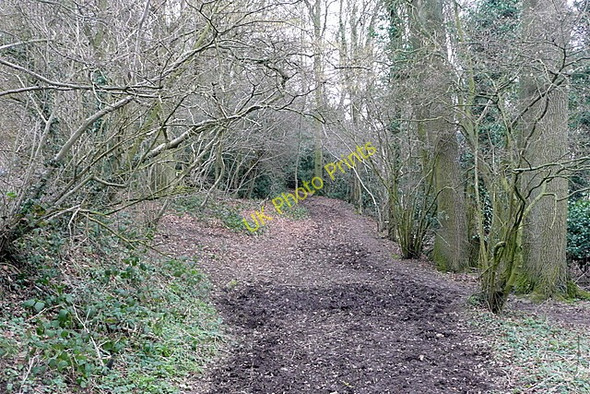 Photo 6"x4" Bridleway to Botley Chesham\/SP9601 c2011