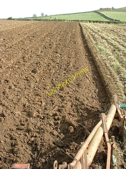 Photo 6"x4" Autumn ploughing Westerdale\/NZ6605 c2003