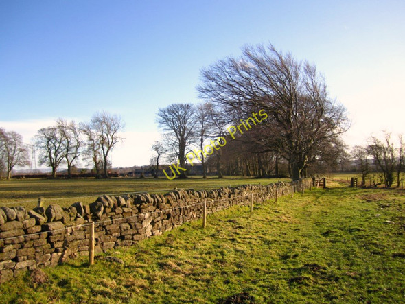 Photo 6"x4" Bridleway north-west of Heddon House Houghton\/NZ1266 c2011