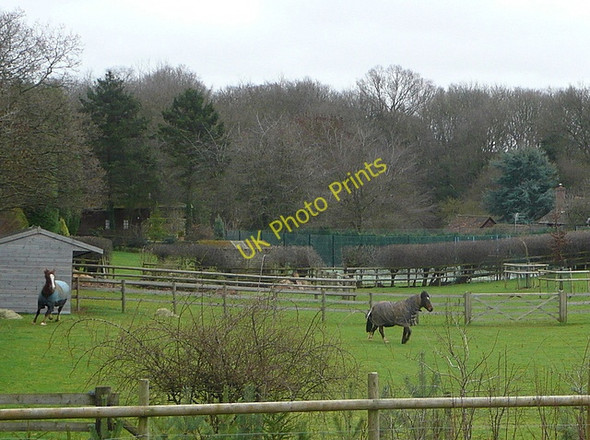 Photo 6"x4" Paddocks near Ley Hill Tyler's Hill c2011