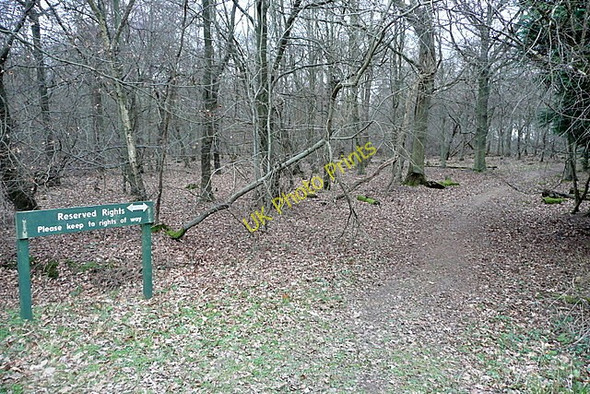 Photo 6"x4" In Codmore Wood Latimer c2011