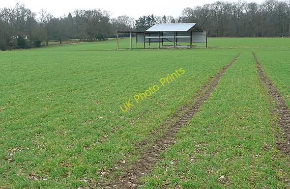 Photo 6"x4" Barn near Latimer Latimer c2011