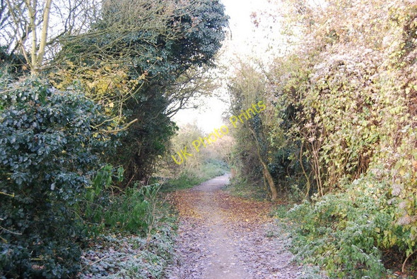 Photo 6"x4" North Downs Way Warren Street c2010