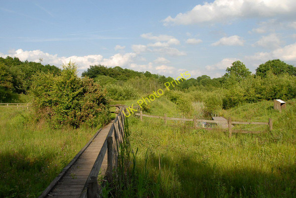 Photo 6"x4" Walkway to Dipping Pond Rixton c2009