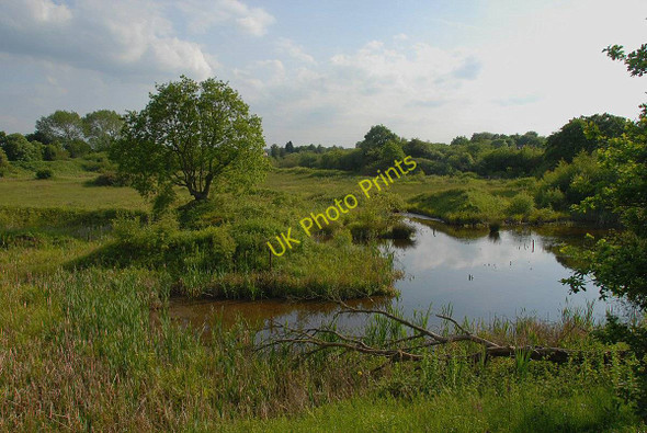 Photo 6"x4" Rixton Pond Rixton c2009