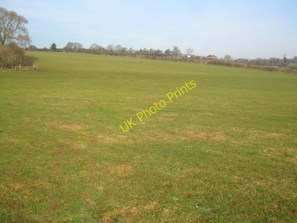 Photo 6"x4" Grassland at Ballingham Court Ballingham c2011