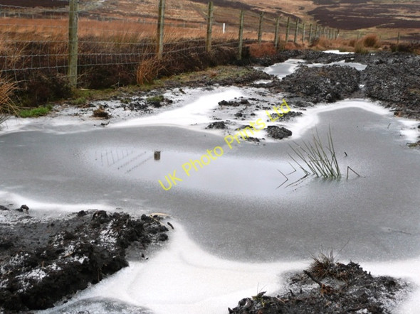 Photo 6"x4" I am a survivor Abertillery\/Abertyleri c2008