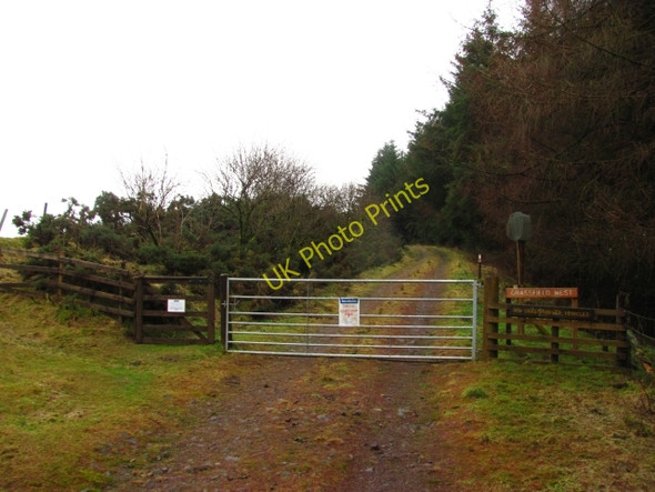 Photo 6"x4" Entrance, Grassfield Forest Halmyre Mains c2011