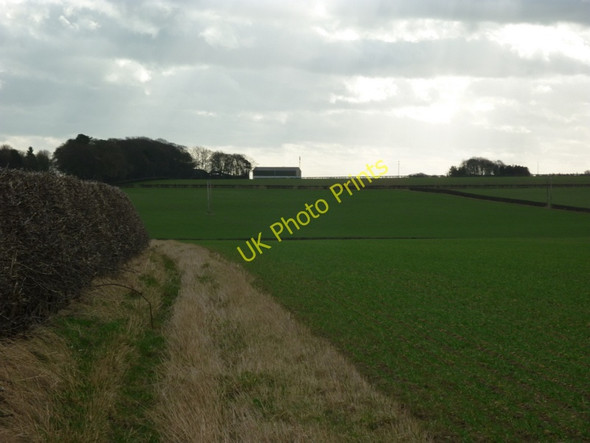 Photo 6"x4" Looking south towards Barton Burrows Bainton\/SE9652 c2011