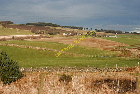 Photo 6"x4" Looking from Davidston towards Edintore Ardonald c2008