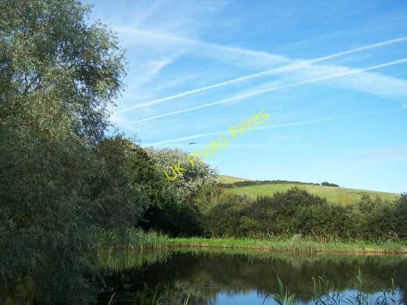 Photo 6"x4" Bickerton ponds Beesands c2009
