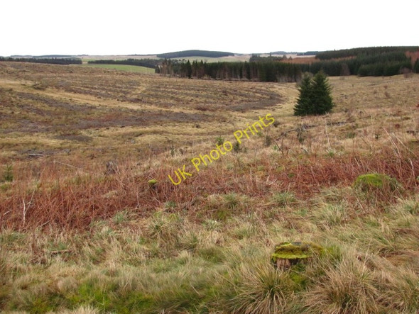 Photo 6"x4" Middle Burn Shiplaw c2011