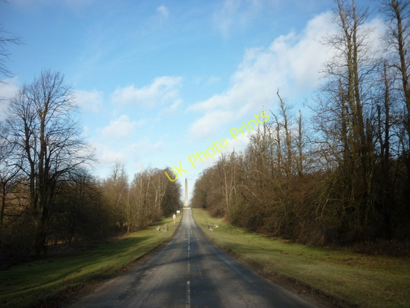 Photo 6"x4" Looking north along the Stray to the Obelisk Coneysthorpe c2011