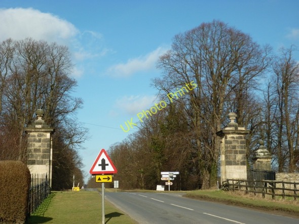 Photo 6"x4" Looking north along The Stray towards Slingsby Coneysthorpe c2011