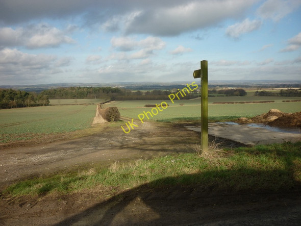 Photo 6"x4" A Footpath near Ryedale Lodge, Nunnington Stonegrave c2011