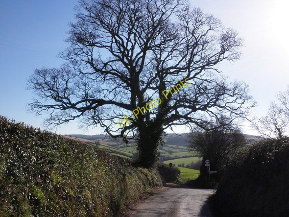 Photo 6"x4" Lodge Rocks, near Roadwater Beggearn Huish c2011