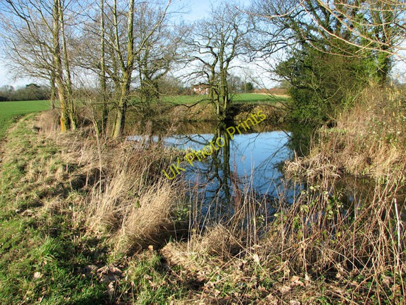 Photo 6"x4" Small pond beside Reepham Road, Guestwick Guestwick c2011