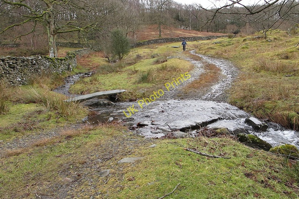 Photo 6"x4" Ford at Low Dale Park Force Mills c2011
