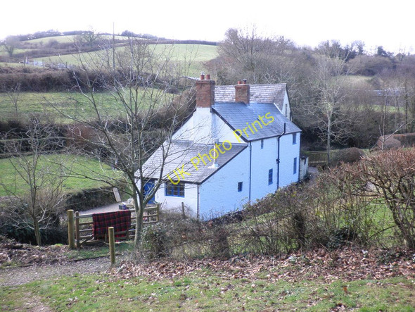 Photo 6"x4" Cottage, at Pitt Mill Leighland Chapel c2011