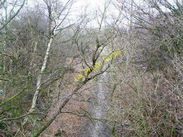 Photo 6"x4" The wooded cutting of the former Midland railway line Newmillerdam c2011