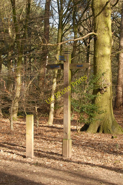 Photo 6"x4" Signpost in Black Wood Northwich c2011