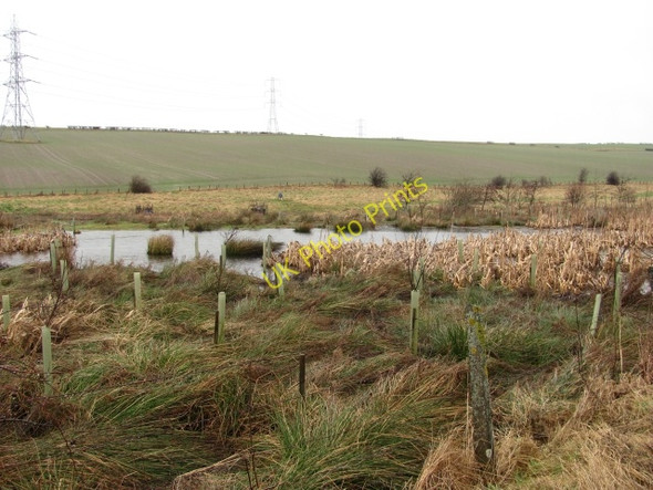 Photo 6"x4" Wetland beneath Elphinstone Cousland\/NT3768 c2011