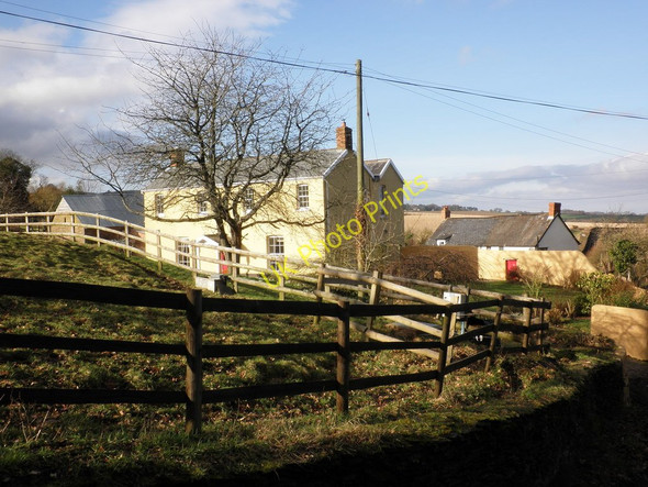 Photo 6"x4" Stamborough Farm Stamborough c2011