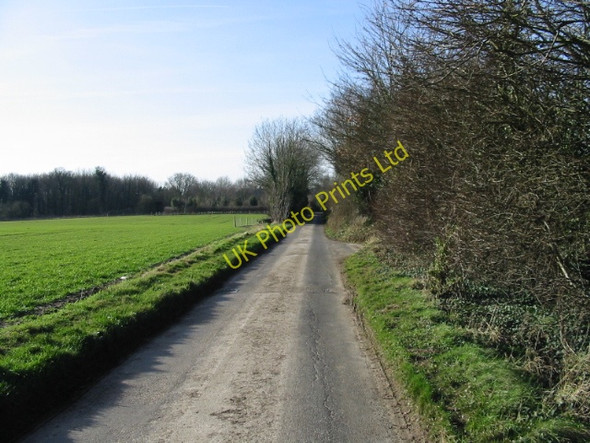 Photo 6"x4" Road towards Updown Farm Finglesham c2008