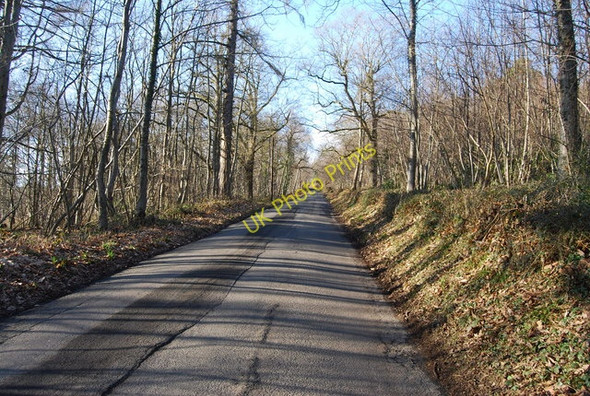 Photo 6"x4" Bartley Mill Rd through Bartley Mill Wood Little Bayham c2011