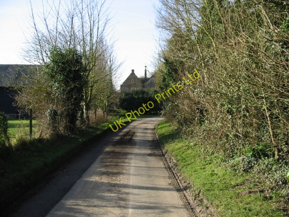 Photo 6"x4" Updown Farm Finglesham c2008