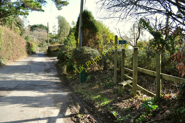 Photo 6"x4" A footpath off from the Old Barnstaple Road Braunton c2011
