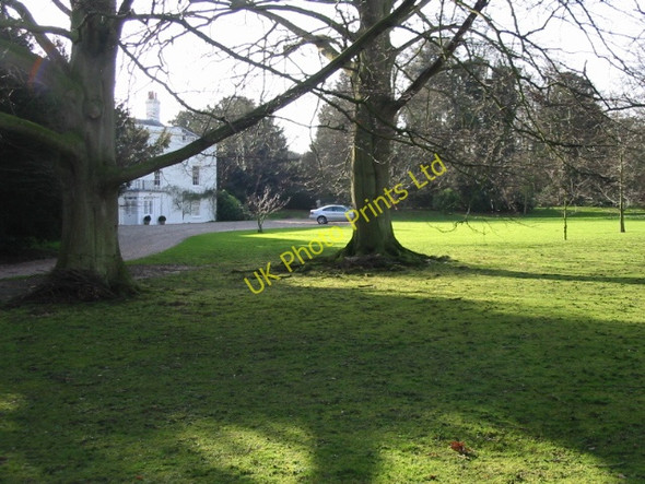 Photo 6"x4" Updown House amongst the trees Betteshanger c2008