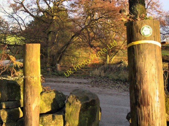 Photo 6"x4" Potters Lane Footpath Crich c2005