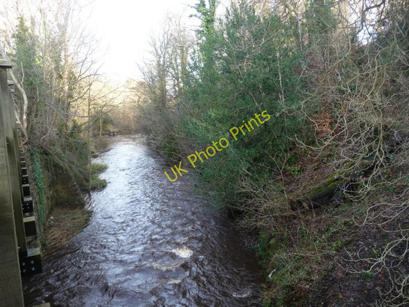 Photo 6"x4" Water of Leith Juniper Green c2011