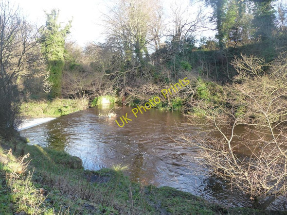 Photo 6"x4" Weirpool on the Water of Leith Juniper Green c2011
