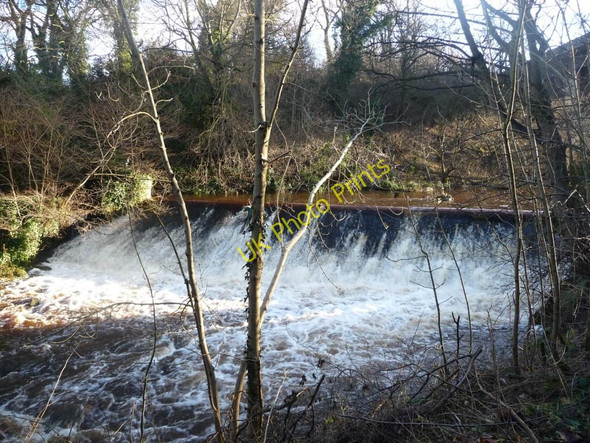 Photo 6"x4" Weir on the Water of Leith Juniper Green c2011