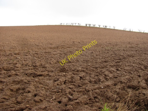 Photo 6"x4" Ploughed field Coldingham c2011