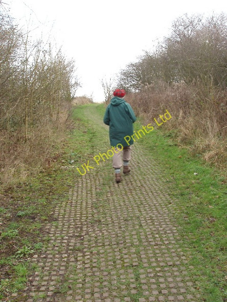 Photo 6"x4" Path up Horsenden Hill Wembley c2008