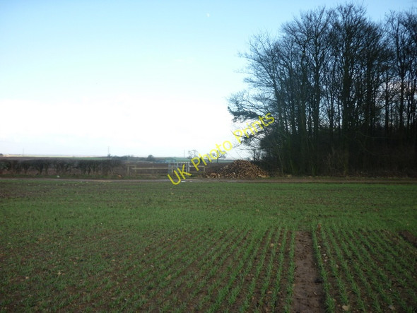 Photo 6"x4" Looking east towards Huddleston Old Wood Micklefield\/SE4433 c2011