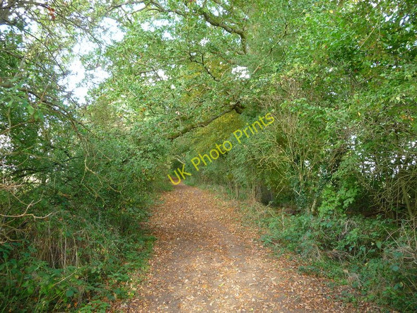 Photo 6"x4" Amport - Footpath Amport c2010