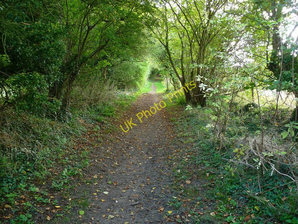Photo 6"x4" Monxton - Footpath Amport c2010