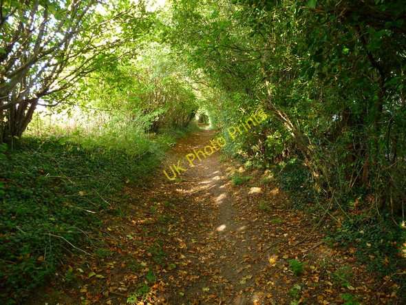 Photo 6"x4" Monxton - Footpath Amport c2010 P1