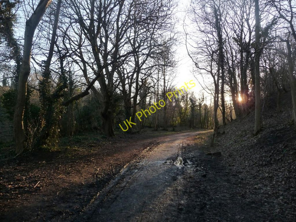 Photo 6"x4" Winter sunset Bonaly c2011