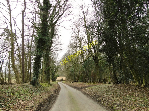 Photo 6"x4" Tree-lined country road near Old Hall Carr Nogdam End c2011