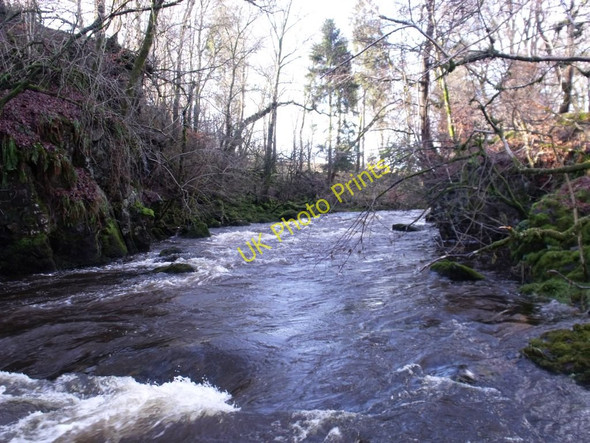Photo 6"x4" River Carron Fankerton c2011