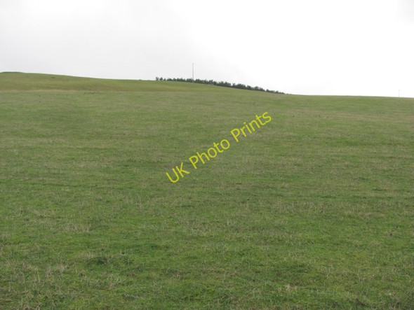 Photo 6"x4" Horseley Hill Houndwood c2011